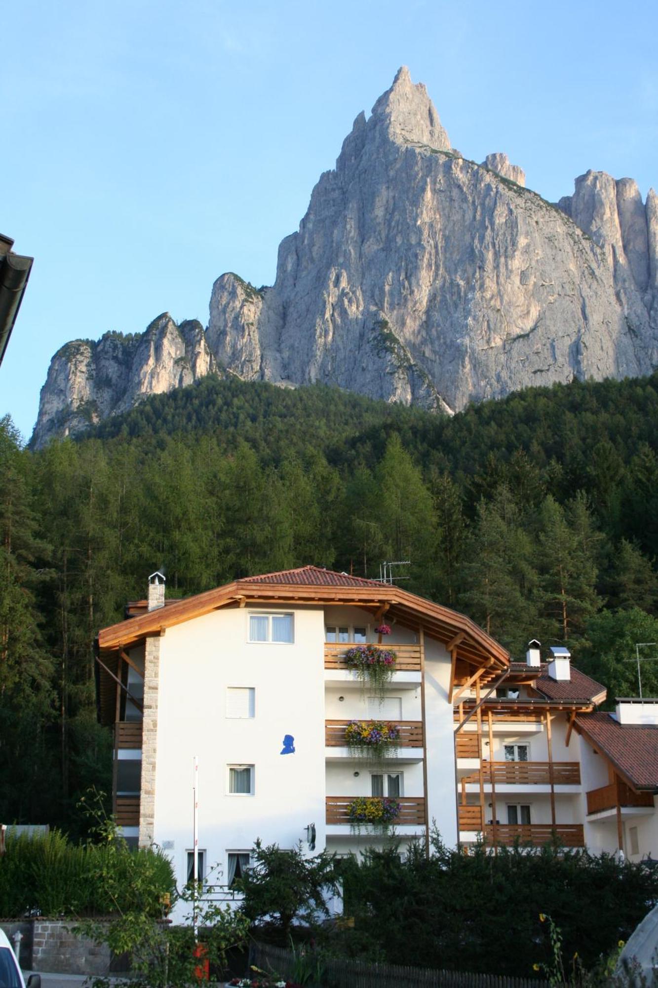 Alpin-Residence Amadeus Alpe di Alpe di Siusi Extérieur photo